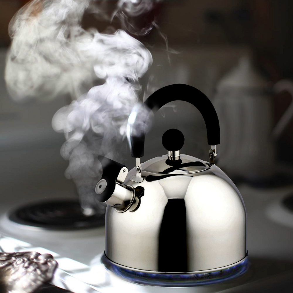 
                  
                    Bene Casa 2.5-quart stainless-steel stovetop tea kettle, removable, whistles
                  
                