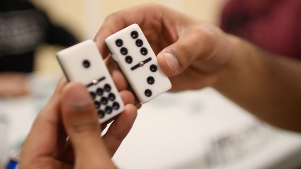 
                  
                    Bene Casa Professional Double Nine Dominoes in Acrylic Storage Box
                  
                